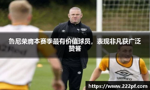 鲁尼荣膺本赛季最有价值球员，表现非凡获广泛赞誉
