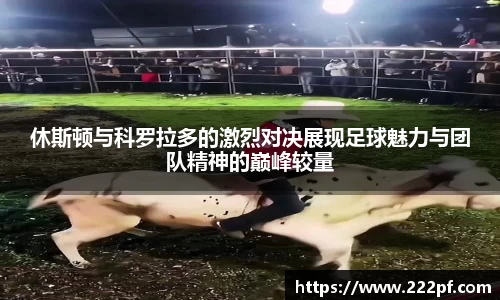 zoty中欧官方网站